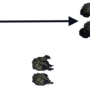 appui_mutuel.png