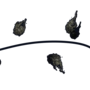 perroquet.png